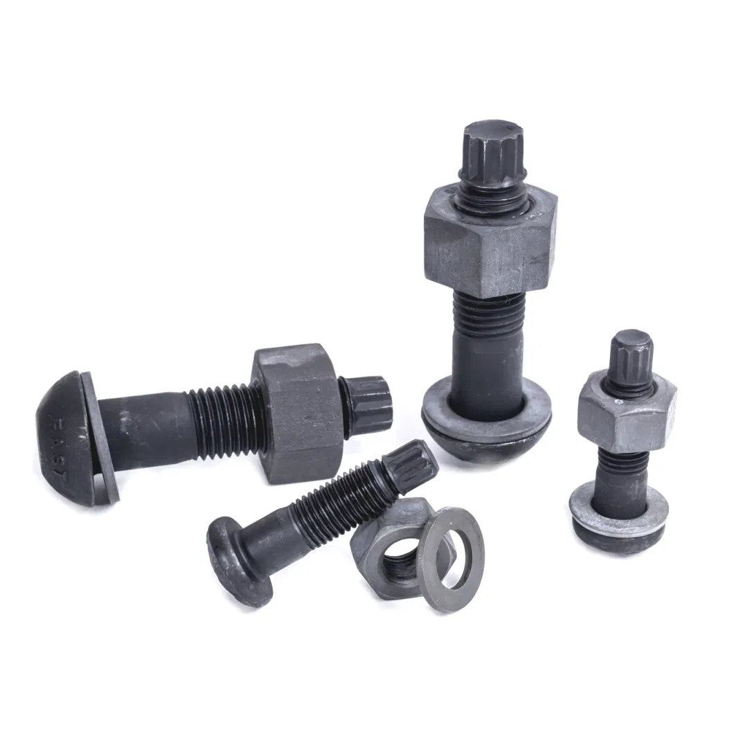 Made in China Black Round Head Torsional Shear Bolts