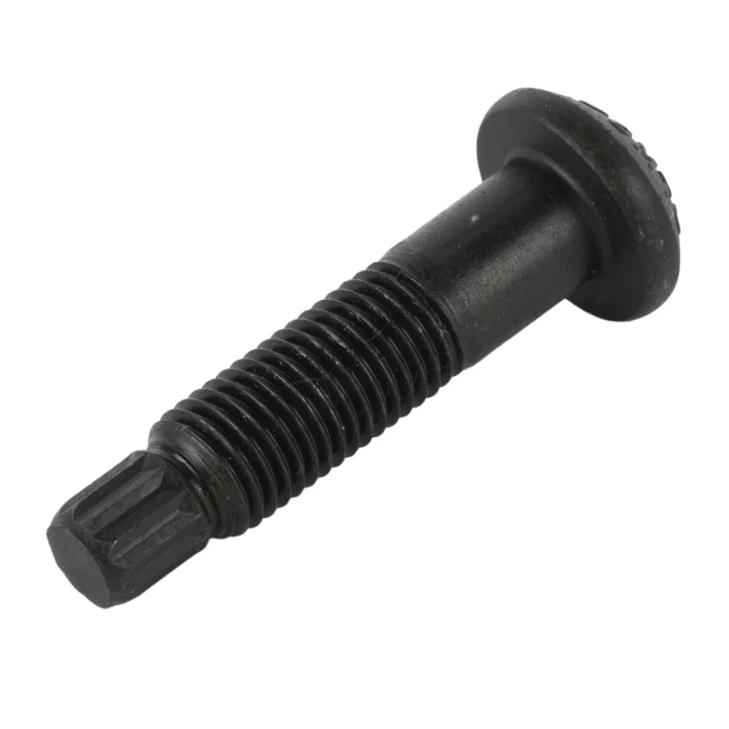 Made in China Black Round Head Torsional Shear Bolts