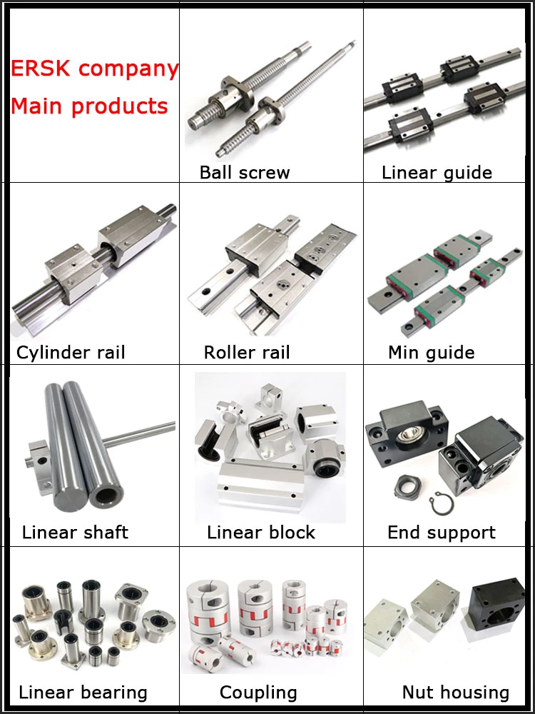 Homemade Low Price Metric Precision Ballscrews