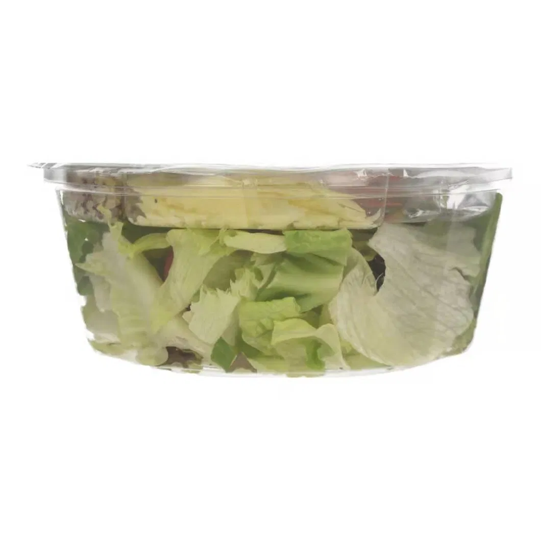 Round Salad Bowl Take out Plastic Box Wherever to Go