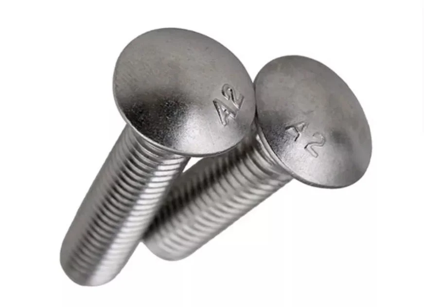 SS304 Carriage Bolt Half Round Head Square Bolt