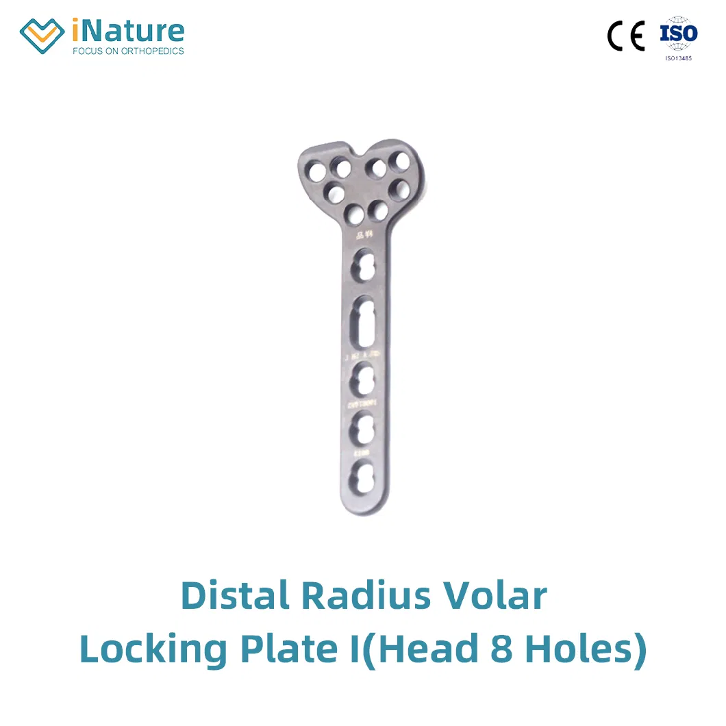 Orthopedic Radius Distal T Type Locking Plate Implant (Head 2 Holes)
