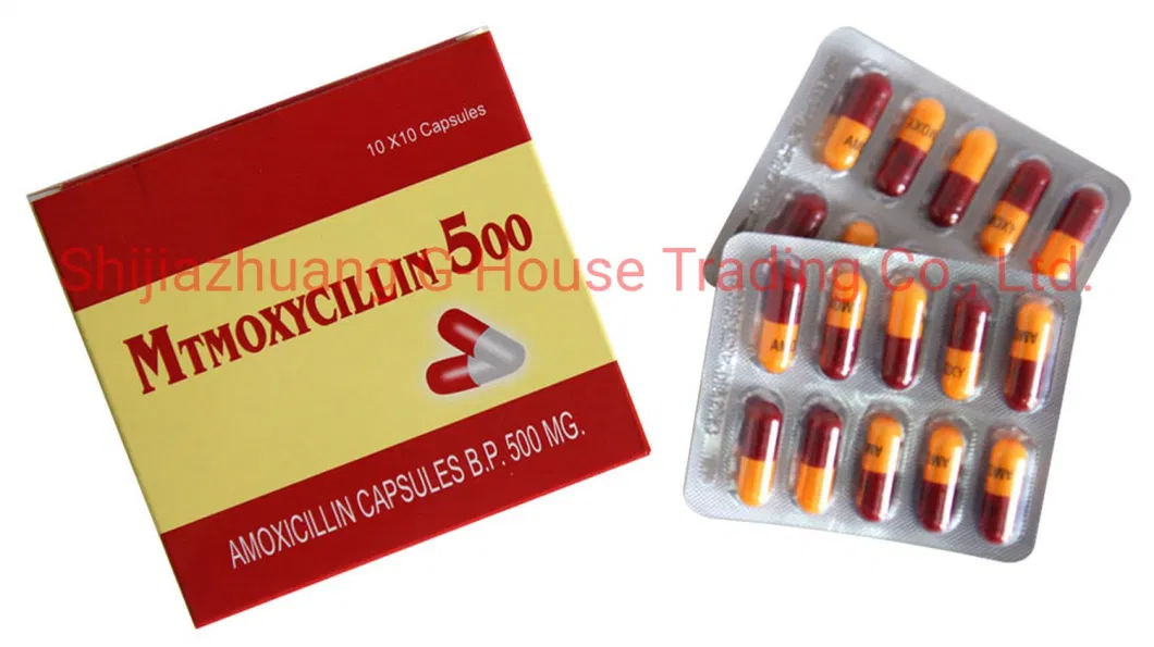 Amoxicillin Capsule 500mg Finished Medicines Western Medicines Pharmaceuticals Drugs