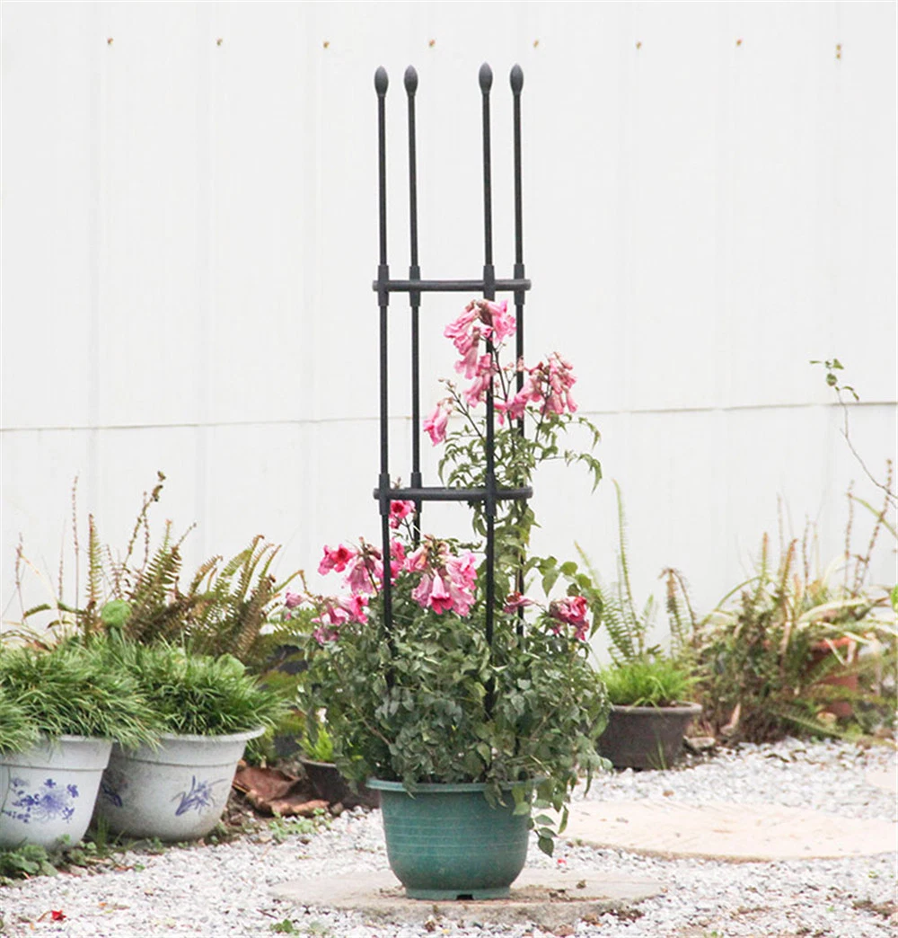 Straight Type Garden Plant Lianas Climbing Trellis Outdoor Flower Metal Support Rod