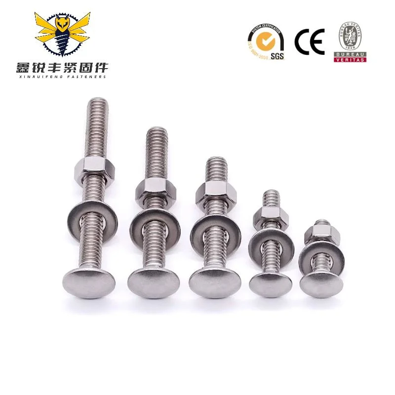Bullone a testa tonda HSL ANSI_ASME B 18.5.1 DIN603 e Dado bullone a testa tonda M6 Lega esagonale 20