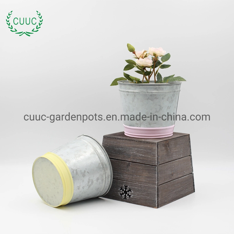 Secchio zincato tondo colore piantatrice Cina metallo Pot fiore Per arredamento domestico
