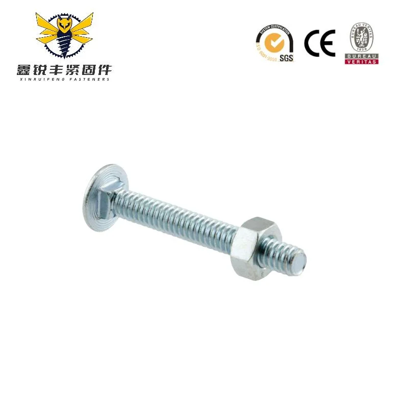 Bullone a testa tonda HSL ANSI_ASME B 18.5.1 DIN603 e Dado bullone a testa tonda M6 Lega esagonale 20