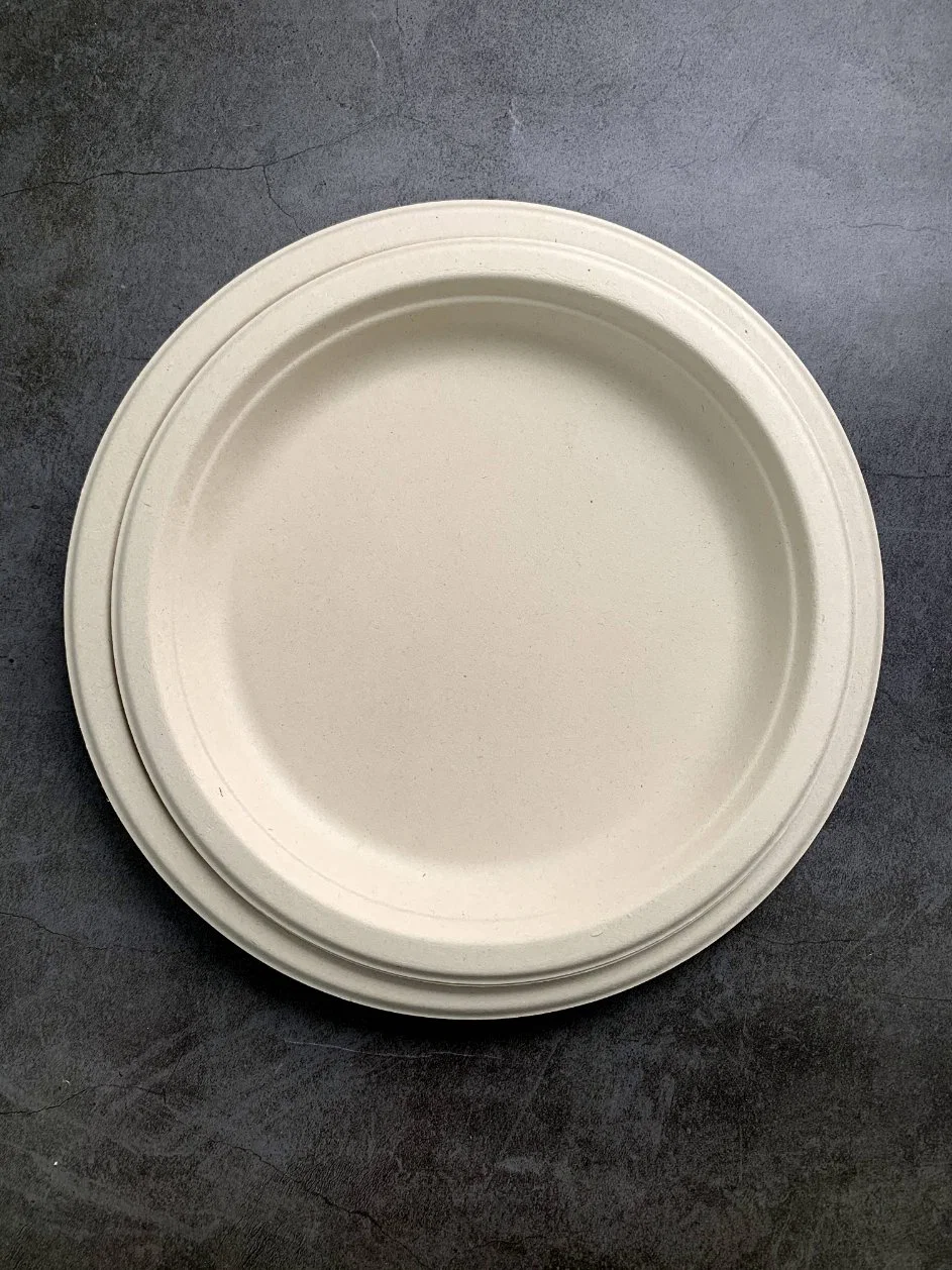 Bagasse piastra per torta monouso piatto per antipasti piatto mini piatto rotondo per dessert, biscotti