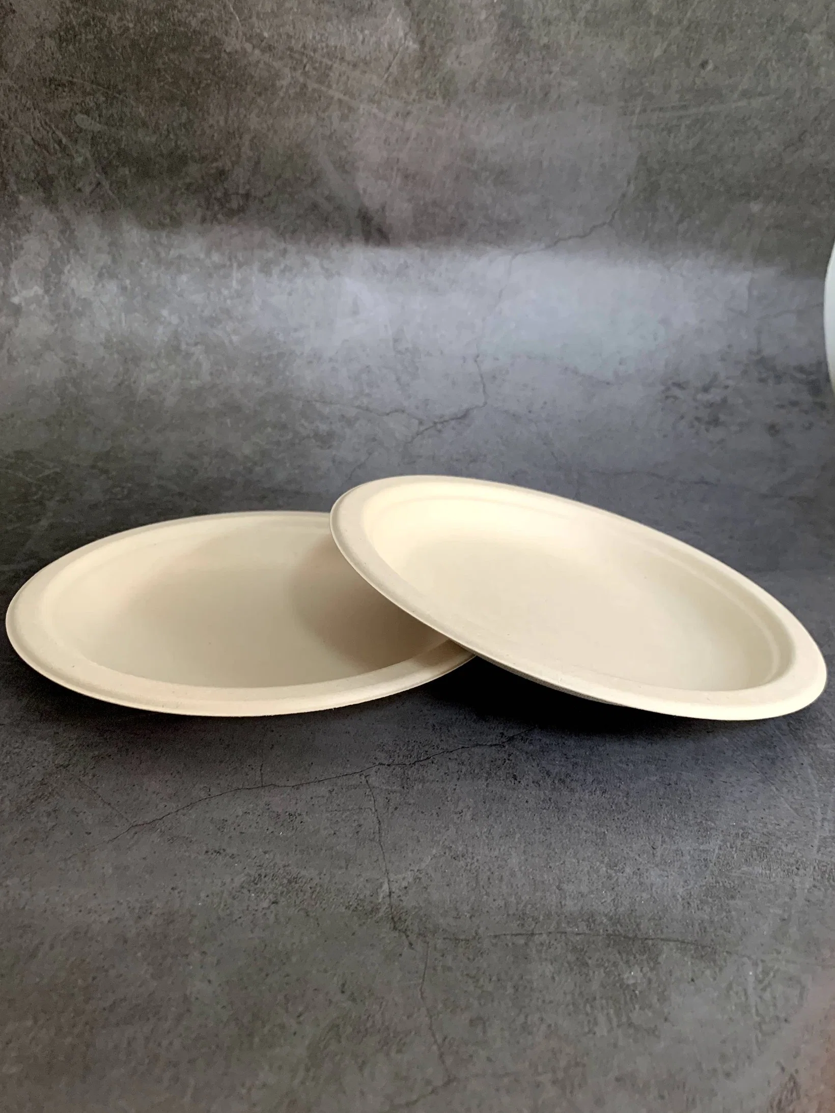 Bagasse piastra per torta monouso piatto per antipasti piatto mini piatto rotondo per dessert, biscotti