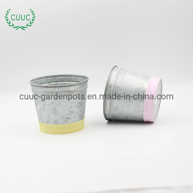Secchio zincato tondo colore piantatrice Cina metallo Pot fiore Per arredamento domestico