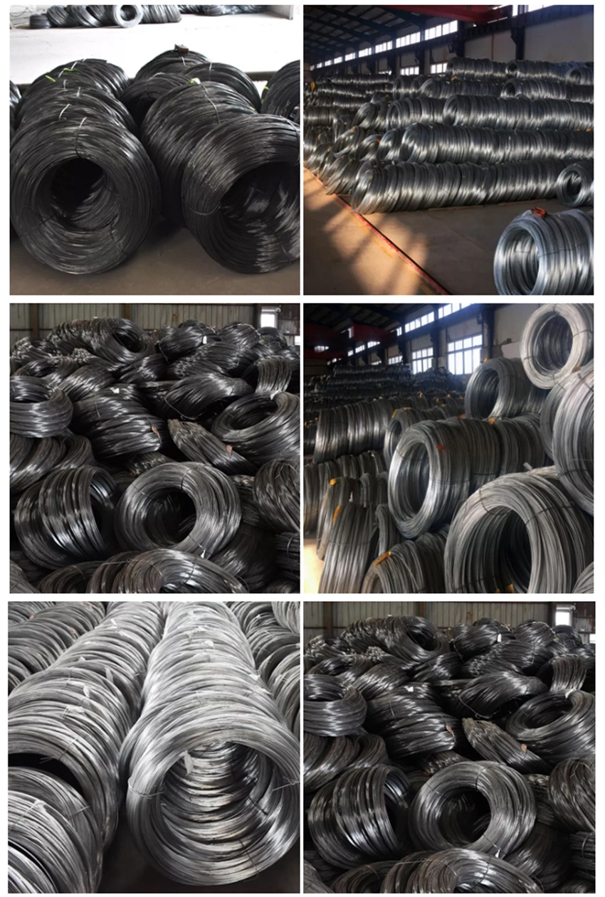 16 Gauge 18 Gauge 21 Gauge 24 Gaugegi Steel Wire Galvanized Wire Rod in Coil