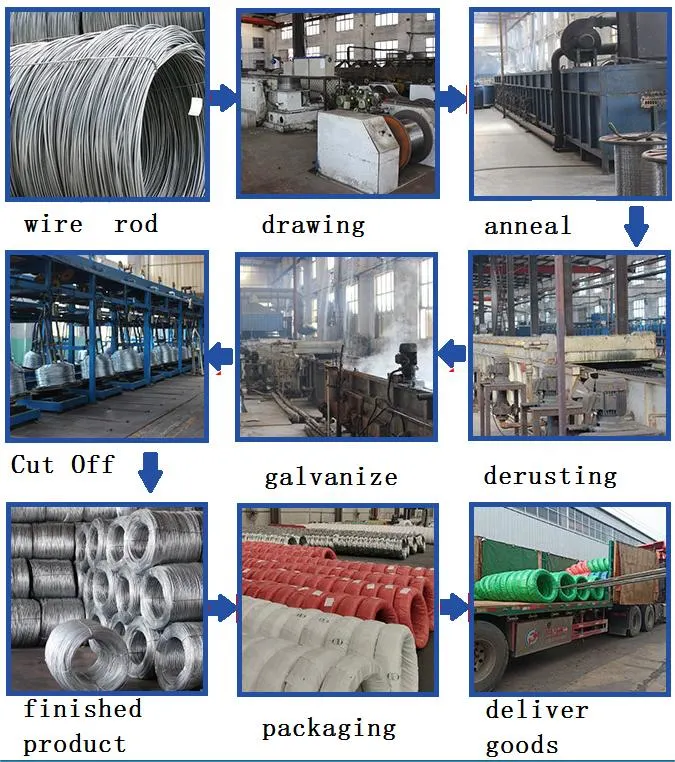 12mm Reinforcement Steel Rebar Wire Rod in Coil High Yield Deformed Bar Mild Steel Round Bar Coil