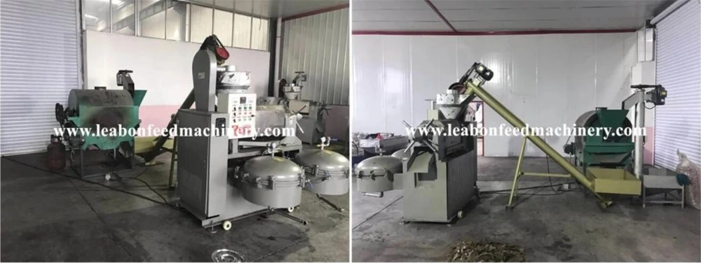 Hydraulic Mini Sunflower Oil Pressing Machine Manual CE Approved Cold and Hot Oil Screw Seed Press Machine