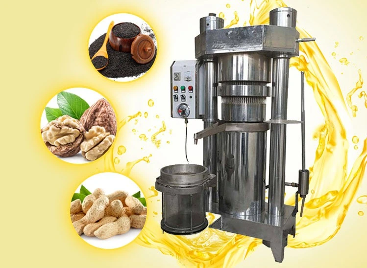 Hydraulic Coconut Avocado Olive Oil Presser Lavender Oil Press Machine Electric Oil Expeller Extraction Machine Making Processing Machines