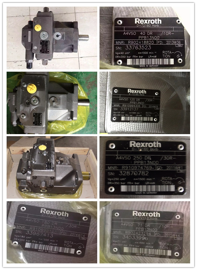 Germany Xinlaifu Cutting Machine Hydraulic Punch Press Hydraulic Oil Pump Pvv Pvv2 Pvv2-1X/068ra15DMB
