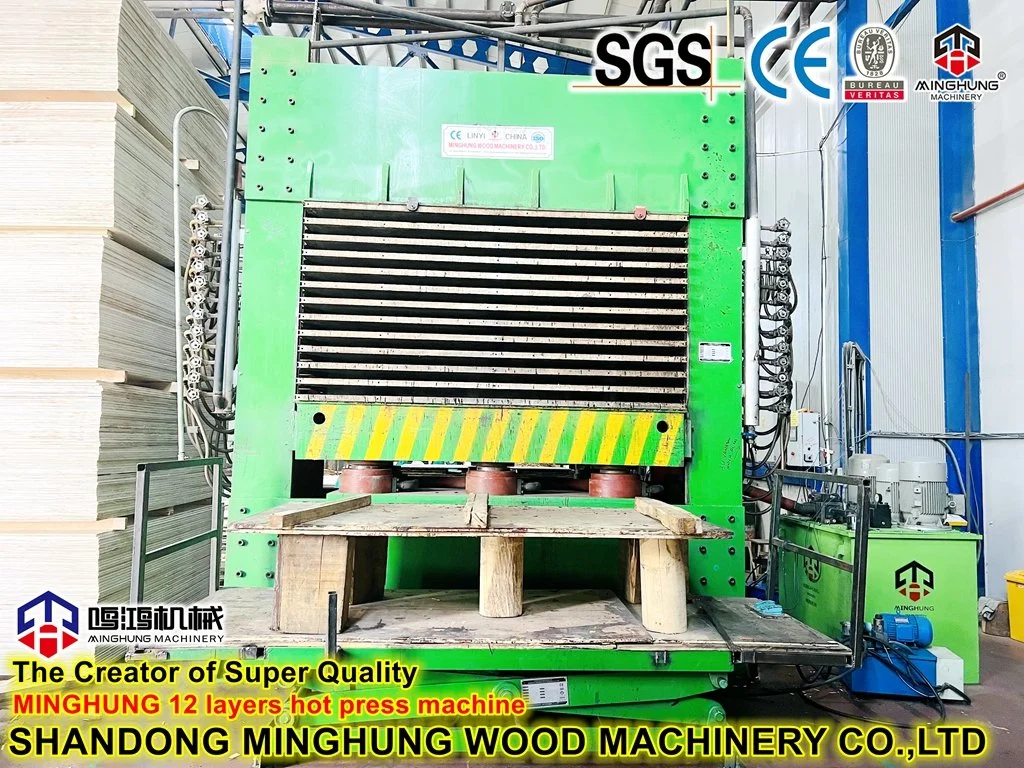 Hydraulic Woodworking Veneer Plywood Hot Press Machine with Automatic Loader and Unloader