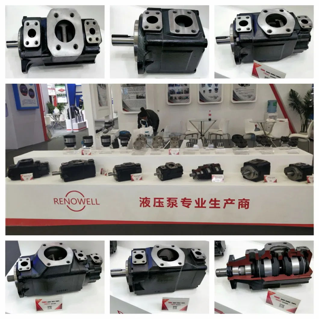 Parker Denison T6ED T6DC T6ec T6cc Double High Pressure Hydraulic Oil Vane Pump for Press and Truck Machinery