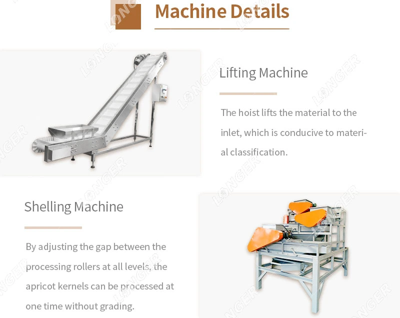 Almond Nuts Shelling and Cracking Small Machine Palm Kernel Nuts Separator Almond Shell Cracker