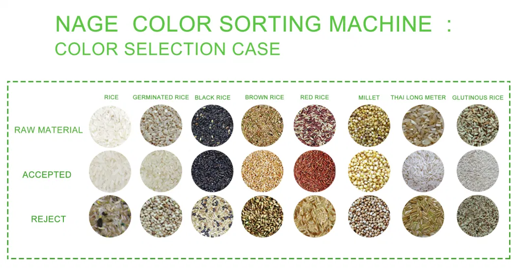 Advanced Nut Color Sorter Optical Sorting Machine LED Color Separator