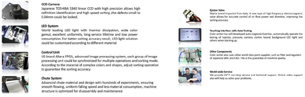 128 Channels Mini Nuts Color Separator Sorting for Pecan