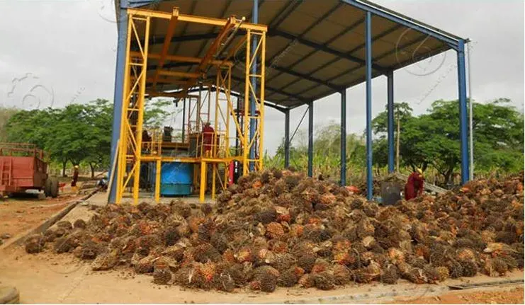 Small Capacity Palm Fruit Oil Pess Machine, Large Capacity Palm Fruit Oil Processing Hydraulic Press Twin Screw