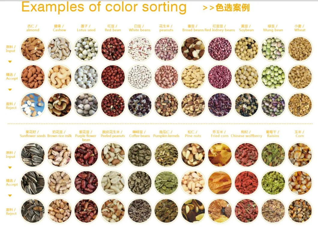 CCD Camera Cashew Nut Grading Machine Color Separator for Cashew