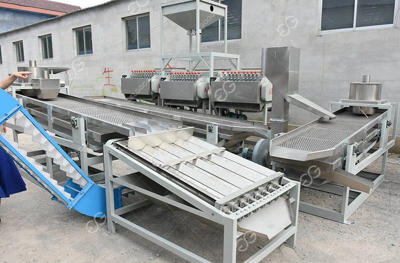 New Automatic Cashew Cracking Breaking Machine Cashew Nut Cracker