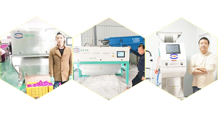 CCD Cashew Nut Color Sorter Cashew Nut Sorting Machinery Separator