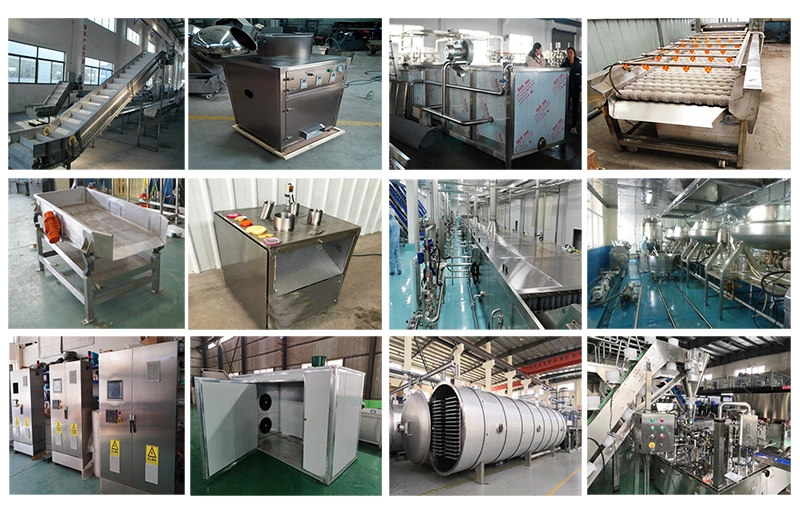 Garlic Paste Processing Line Garlic Peeling and Spilting Machine Crushing and Grinding Machines on Sale