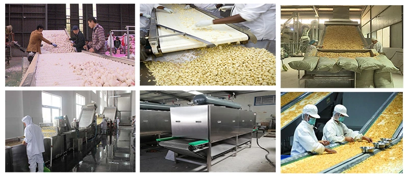 Garlic Paste Processing Line Garlic Peeling and Spilting Machine Crushing and Grinding Machines on Sale