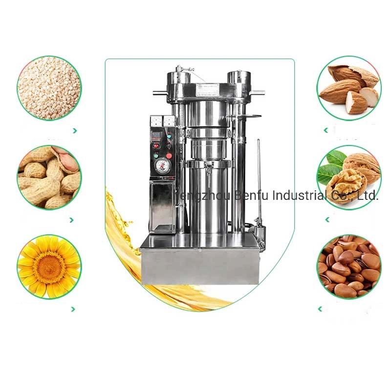 30 Kg/H 20kg/H Automatic Mini Coconut Sesame Olive Soybean Peanut Walnut Hydraulic Oil Press