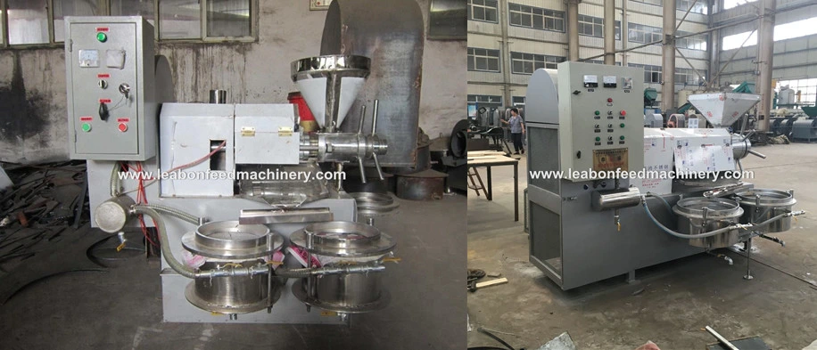 Hydraulic Mini Sunflower Oil Pressing Machine Oil Seed Press Machine Oil Screw Press