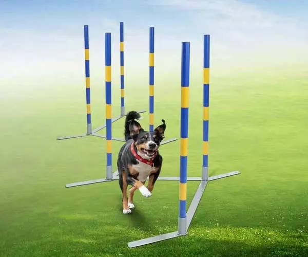 Dog Agility Training Equipment Weave Pole Slalom