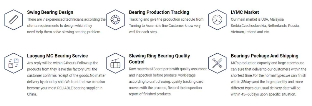 Heavy-Duty Construction Machinery Turntable Bearing 12-50 2240/2-06520 Large Size Swing Bearing