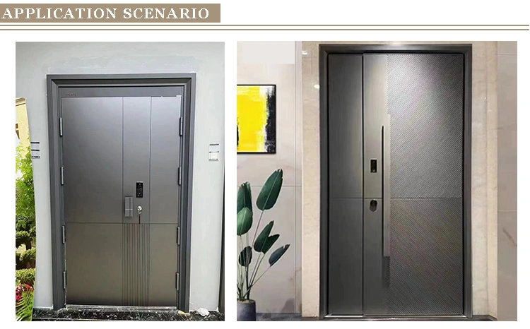 High-Grade Residence Heavy Duty Security Doors