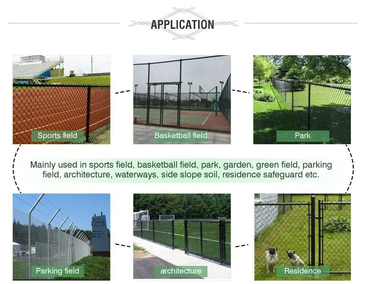 Hot-Selling Chain Link Fence, PVC Coated/ Galvanized Chain-Link Fence, Anti-Rust Chain Link Fence