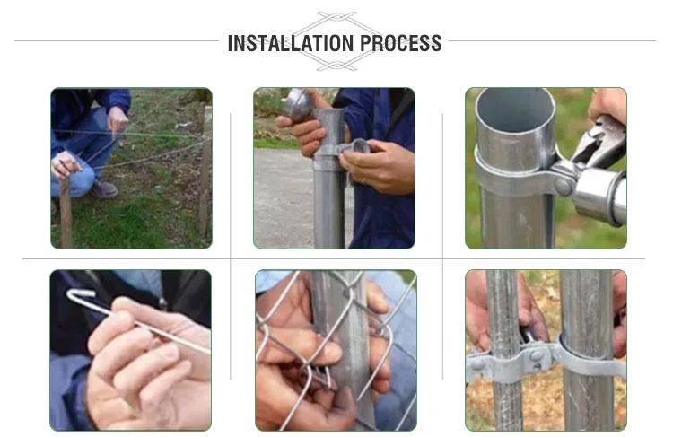 Hot-Selling Chain Link Fence, PVC Coated/ Galvanized Chain-Link Fence, Anti-Rust Chain Link Fence