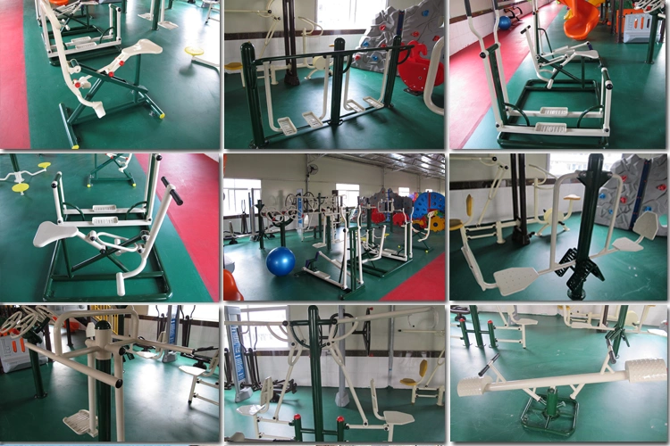 Hot Sale and Cheap Seesaw Gym for Children (TY-9099H)
