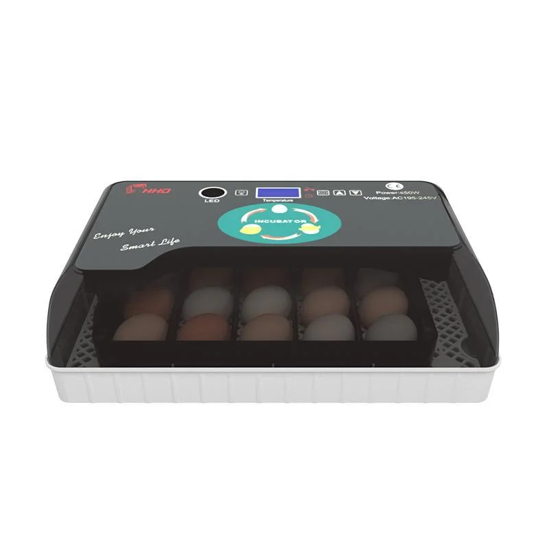 Hhd Sale Hot Factory Price 20 Automatic Egg Mini Incubator