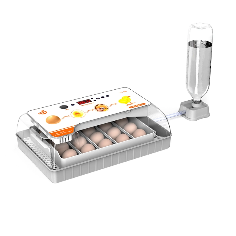Hhd Sale Hot Factory Price 20 Automatic Egg Mini Incubator