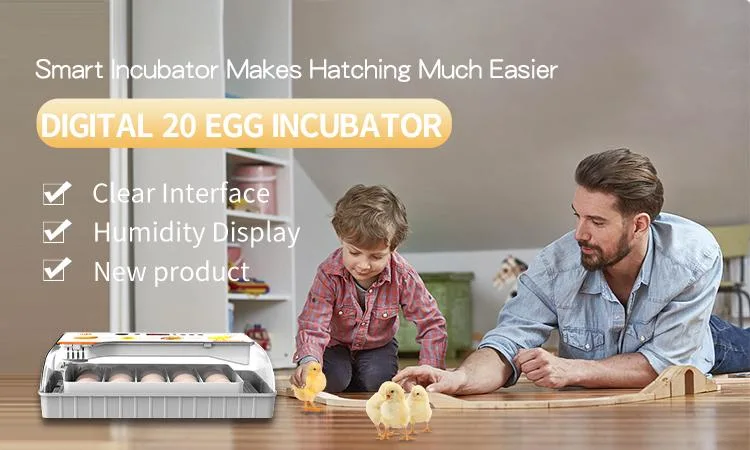 Hhd Sale Hot Factory Price 20 Automatic Egg Mini Incubator