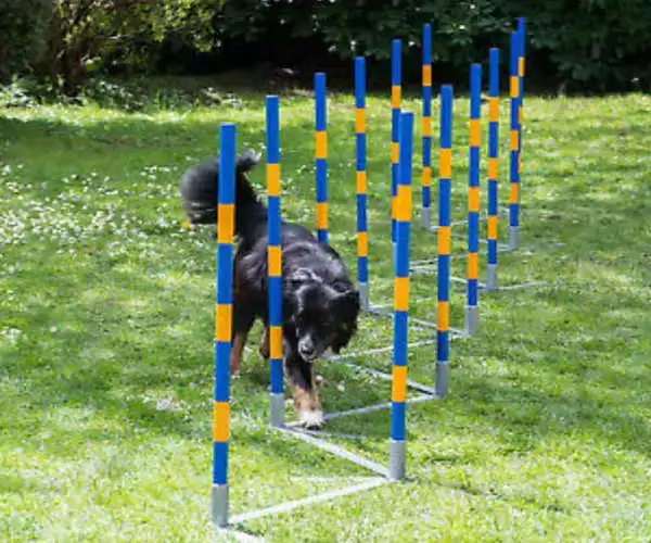Pet Dog Training 12 Weave Pole Slalom for Dog Agility