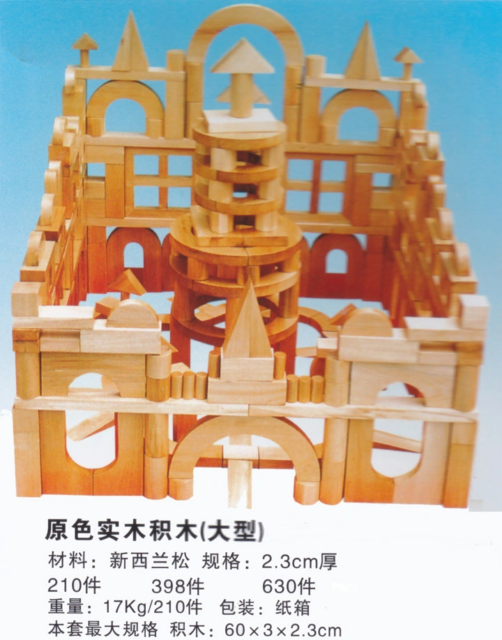 Wooden Building Blocks Set Classical Educational Toys for Preschool Children