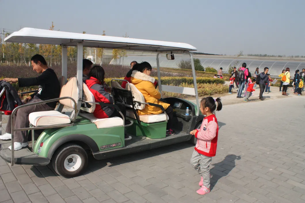 Back to Back Six Seaters Electric Sightseeing Car