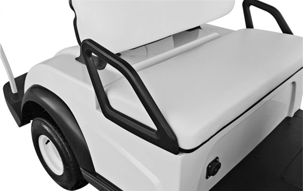 2 Seaters Electric Golf Buggy