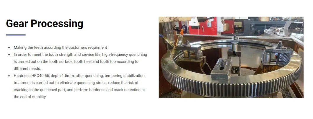 Heavy-Duty Construction Machinery Turntable Bearing 12-50 2240/2-06520 Large Size Swing Bearing