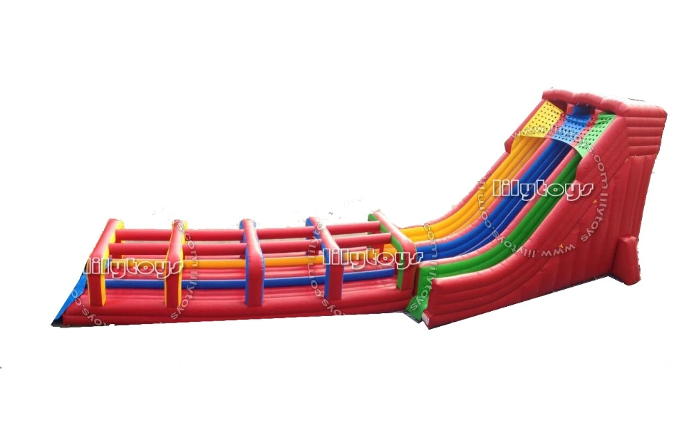 Beach Inflatable Hippo Water Slide with Pool Inflatable Water Slide for Kids and Adults