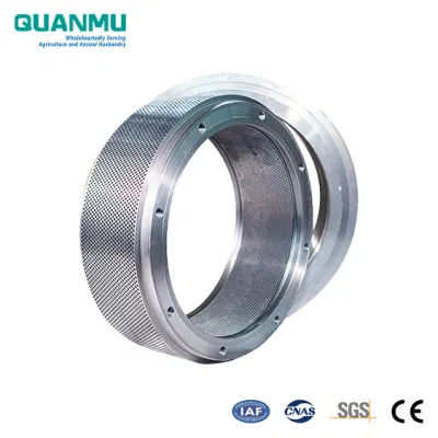 Stainless Steel X46cr13 (4Cr13) Ring Die in Feed Processing Machinery Pellet Press Machine Spare Parts