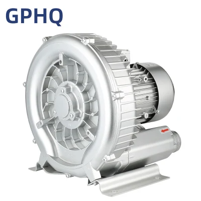 Gphq Industrial Vacuum Pump for Grain Conveying Suction System