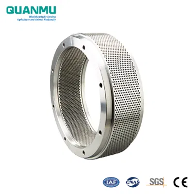 Stainless Steel X46cr13 (4Cr13) Ring Die in Feed Processing Machinery Pelletizing Machine Spare Parts